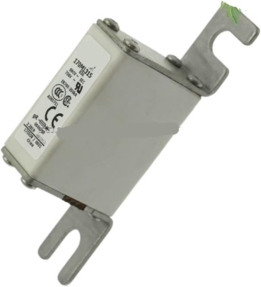 170M1313 170M1314 170M1315 170M1316 170M1317 Fuse