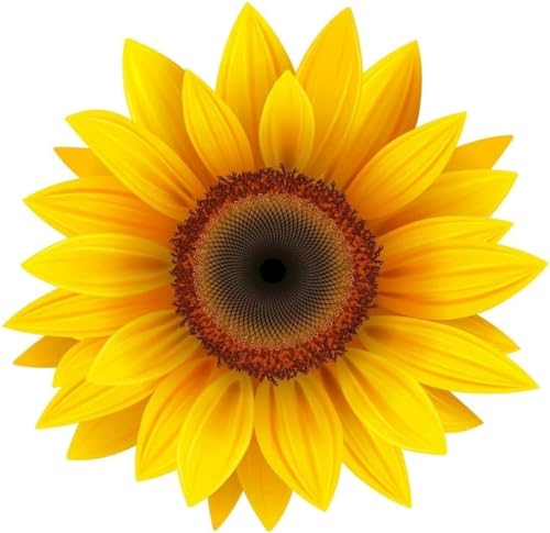 Image of Yellow Sunflower Decal Sticker for Car Indoor /Outdoor Vinyl Sticker Decal for Laptop | Motorcycle | Windows | Bumpers | Size: 6 inch