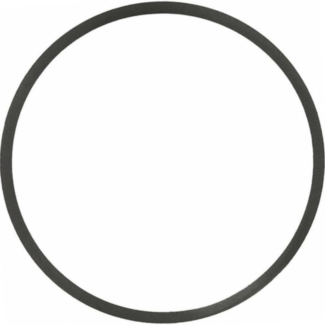 Engine Coolant Thermostat Gasket Replacement F4TZ8255A for Ford E-350 Super Duty 1999 2000 2001 2002 2003 1 X