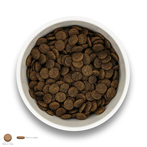 Sollis Trockenfutter für Hunde | Hypoallergen | Pferd | Allergiker geeignet | Getreidefrei & Zuckerfrei | Besonders verträglich | 2kg