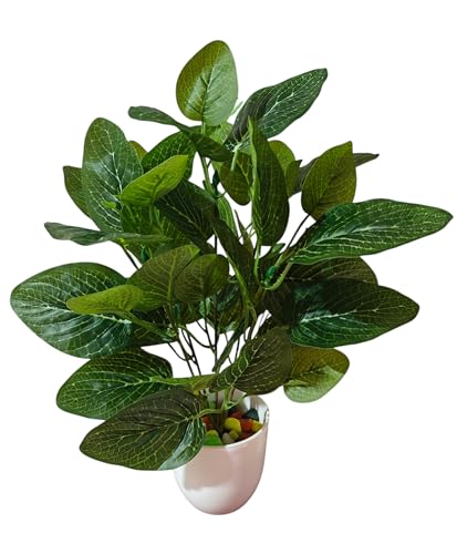 Image of Natural Looking Artificial Money Plant /Tree with Pot | Ornamental Plant for Interior Decor | Home /Shop /Office Decor (Dark-Green)