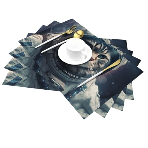 Set de table PVC anti-chaleur antidérapant chat de l'espace lavable