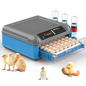 Zhfengzhuz Eierbrutschrank 192/256/500 Eier Brutmaschine