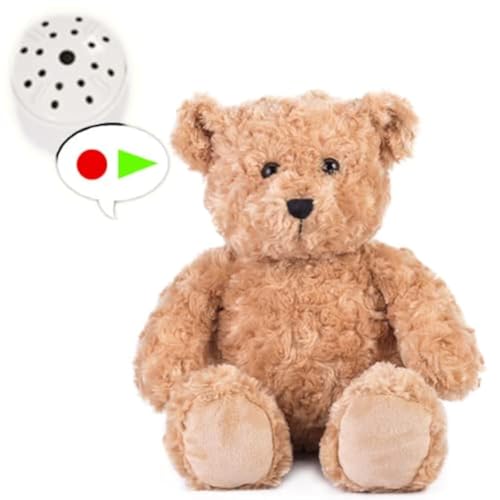 Oso de Peluche clásico con grabadora de Voz de 60 Segundos - 25 cm de Alto
