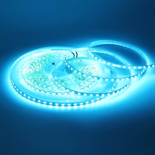 Wisada - Tira de LED flexible CRI85+ [5m, Azul hielo], 24V, SMD2835, 120 LED/m, diseño DIY, decoración para el hogar y tiendas - No incluye fuente de alimentación