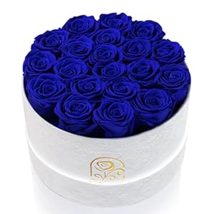 Gifts for Women Preserved Roses Flower Box, Luxury Velvet Box with 20 Roses, Preserved Flowers, Romantic Gift for Her, Wife, Girlfriend, Birthday Anniversary Christmas (Royal Blue)