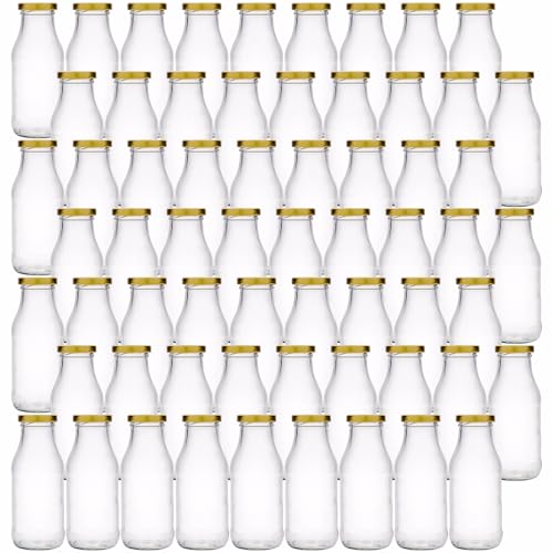 Flaschenland 56 Glasflaschen 250 ml inkl. Twist-Off-Deckel und breiter Öffnung Saftflaschen Ideal zum Abfüllen heißer und kalter Säfte Smoothie Milch Tee Dressing oder Soßen | Made in Germany