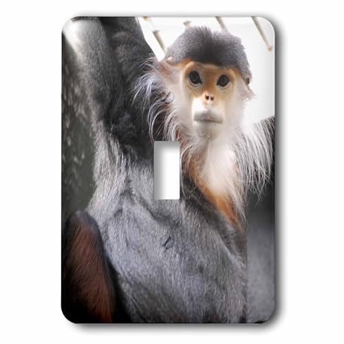 Douc Langur Singe bouton eclairage bascule pour plaque de deco murale