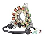 Fornisce una potenza affidabile per supportare i sistemi elettrici della tua moto, garantendo una guida.