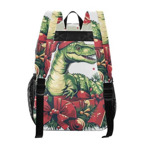 Dino Red Christmas Kids Clear Backpack Clear Book Bags For Adults Transparent PVC Backpack3