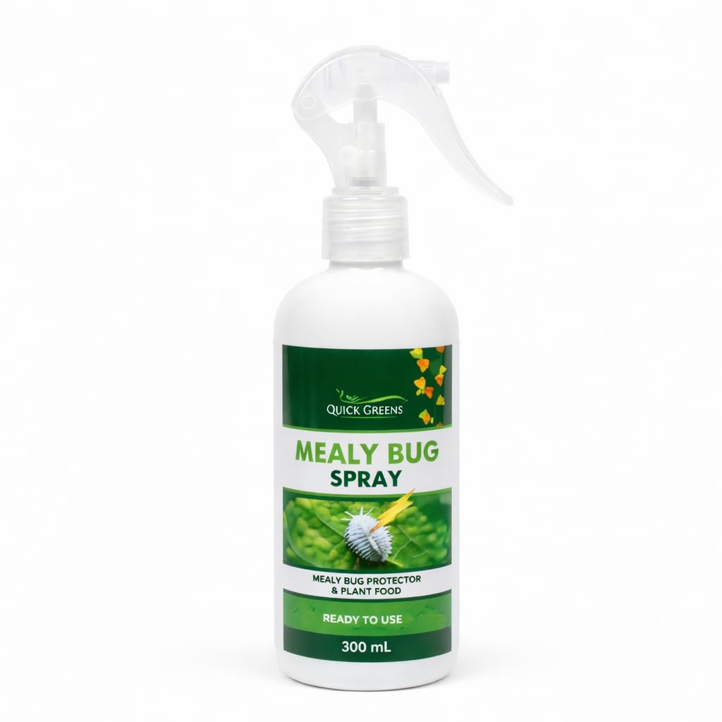 Mealybug (300 ml) Ready to Use Spray | Mealybugs & Fungus Killer |100% Herbal & Chemicals Free | Organic Mealybug Spray for Indoor & Outdoor Plants-image-36