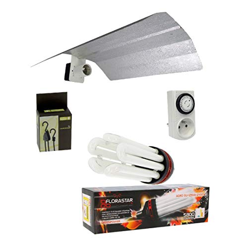 Kit lampe CFL 125W Floraison - FLORASTAR Cover