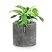 Fox & Fern 8" Plant Pot Perfectly Fits Mid-Century Plant Stand - Drainage Plug - Concrete