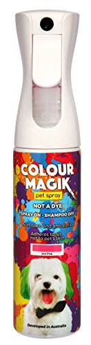 non toxic pet safe paint