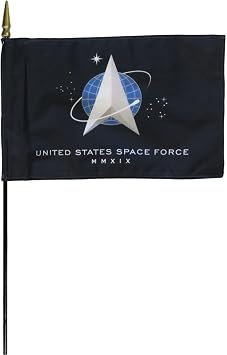 Space Force - 8 in x 12 in Military Stick Flag
