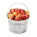 Behrens 4.25 Gallon Galvanized Steel Pail (1 Pail)