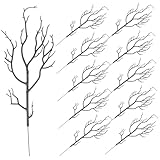 DECORNIJIA
