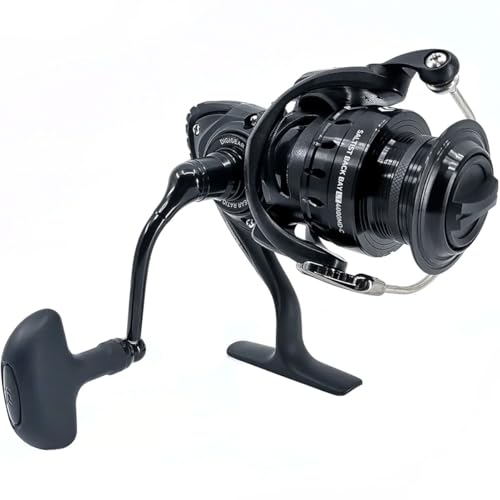 Daiwa Saltist Back Bay LT 4000