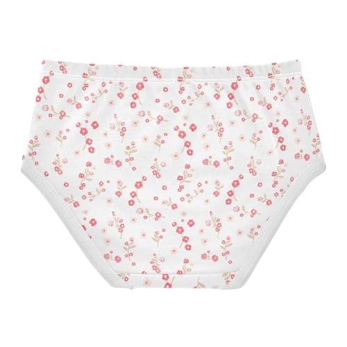 Flowers Floral Toddler Girls's Underwear 2T 23022032