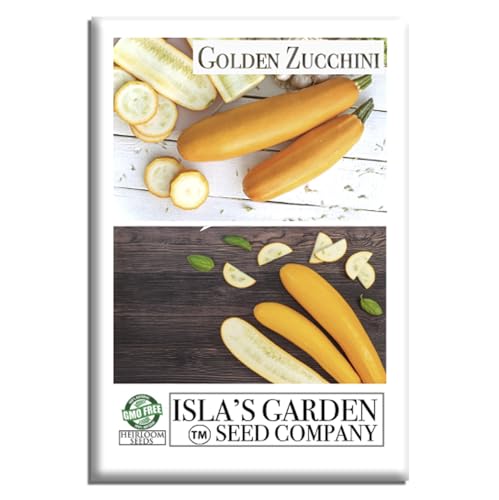 Golden Zucchini Summer Squash Seeds (Cucurbita Pepo) – 50+ Heirloom