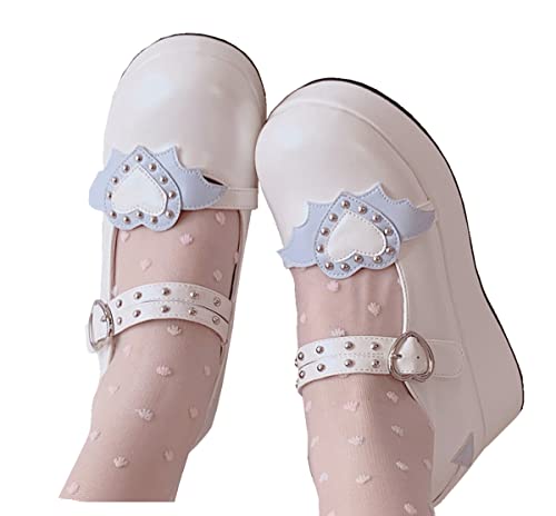 Women's Mary Jane Shoes Lolita Round Toe Block Heels Gothic Sweet Heart Floral Oxfords Ankle T-Strap Platform Dress Shoes Classic Gothic Pumps