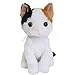 Produktbild Best Ever Japan Premium Kätzchen Calico Katze Mikeneko Plüsch/Plüschtiere Puppe