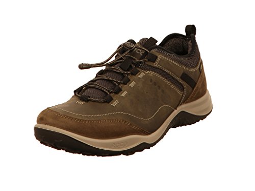 ECCO Men's Espinho GTX Hiking Shoe