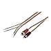 IEC 18 AWG 1-Feet Speaker Wire Pair with RCA Males - Black/Red