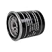 Scooter Oil Filter - Buddy 150, Buddy 125, Blur 150, ET4, LX 150, GT200
