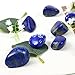 Namzi 10 Packs of Brazilian Tumbled Polished Natural Lapis Lazuli Crystals, Crystals and Healing Stones Quartz Bulk for Wicca, Reiki, Healing Energy, Chakra Stones, Witchcraft Supplies(0.5LB)
