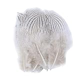  URFEDA Plumas de Faisán, 100 plumas naturales de Faisan, plumas de gallo, artesanales, plumas, bricolaje, manualidades, manualidades, manualidades, decoración, disfraces