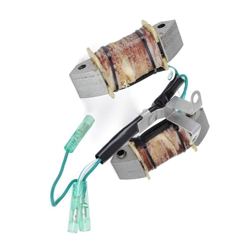 Bobine de stator moto F13.5A pour sorties sans panne
