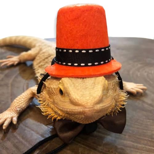 earded Dragon Clothes Small Animal Bow Ties Chapéus para Animais de Estimação Roupa Cosplay Legal Ka