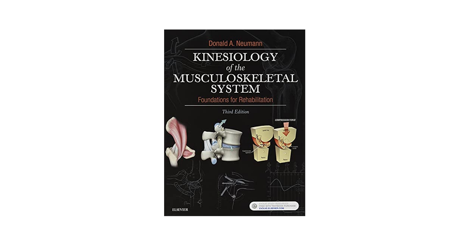 Fundamental Kinesiology 第六版 879431d77f8baa955f18688cc205c0
