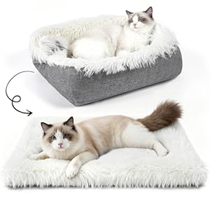 MAIYADUO Weiches Katzenbett Waschbar 60x45 cm Plüsch Haustierbett für Katzen und Kleine Hunde, 2 in 1 Katzenbett Schlafsack Warmes Haus Katzenkissen Katzendecke Waschbares Nest Bett für Katzen