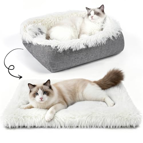 MAIYADUO Weiches Katzenbett Waschbar 60×45 cm Plüsch Haustierbett für Katzen und Kleine Hunde, 2 in 1 Katzenbett Schlafsack Warmes Haus Katzenkissen Katzendecke Waschbares Nest Bett für Katzen