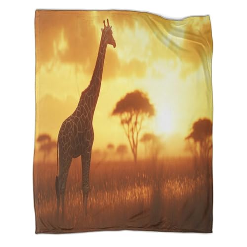 kaiyun African Jirafa Standing on The Golden Savannah Manta Suave Y Cómoda Impresa En 3D Solset Colcha Patchwork Adolescente Y Adultos Estampada Adecuada para Cama Y Sofá 80x90inch(200x230cm)