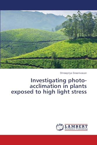 Investigating photo-acclimation in plants exposed to high light stress