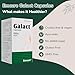 Generic ATS Galact Capsules - Shatavari Powder - Breast Feeding Supplement - Increase Milk Supply - Supplement for Women (30 Capsules)