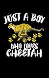 Photo Gallery just a boy who loves cheetah: animal nature collection Photo Gallery just a boy who loves cheetah: animal nature collection