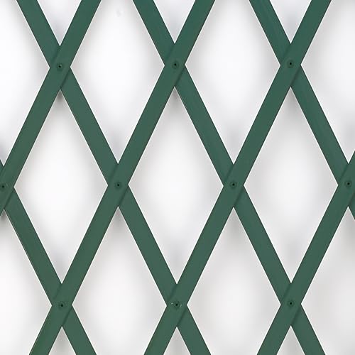 TENAX Treplas 50x200 cm, Verde, Traliccio Estensibile in PVC per Sostegno a Muro di Fiori e Piante Rampicanti
