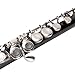 Fabater C Flute, 16 Keys Open Hole Flute for Beginners Students Adults, Professional Instrument Kit with Carrying Case and Cleaning kit, Student for Beginners, Easy to Play