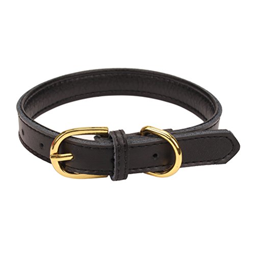 Aolove Basic Classic Padded Leather Pet Collars For Cats Puppy Small Medium Dogs (Black, Medium) #TOP1