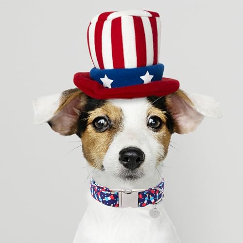 Image of Dog Patriotic Collar, 4th of July, American Flag Dog Collar for Boy Girl Puppy, with Metal Buckle,S