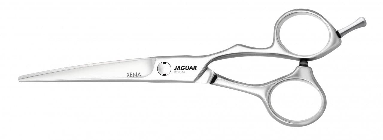 Jaguar Xena 5.5 inch Silver Line