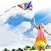 Large Delta Kite for Kids & Adults,Extremely Easy to Fly Kite for Beach Trip,String Line Included,with Colorful Colors Tail,Perfect for Beginners,