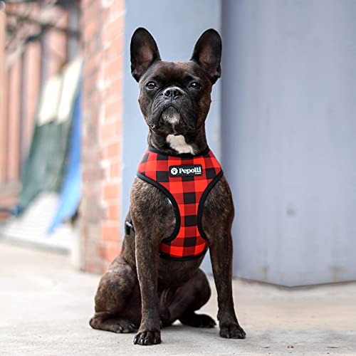 Pepolli Hundegeschirr | Geschirr für Französische Bulldogge, Frenchie, Frenchbulldog, Mops (S (Hals 33–36 cm, Brust 49 – 64 cm), MC French)