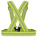 360 USA Brand Reflective Running Harness