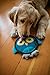 Hyper Pet Firehose Flyers Owl Durable Squeaky Dog Toy Grey 7.5 x 1.2 x 8.2 inches