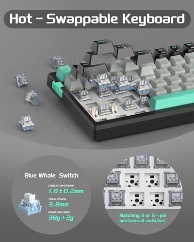 Image of MageGee SKY98 Mechanical Gaming Keyboard, 96% Gasket Hot Swappable Wired Custom Creamy Keyboard with 5-Layer Sound Dampening, RGB Backlit, NKRO for Win /Mac (Dark Elf, Blue Whale Switch)